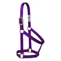 Weaver Leather Basic Non-Adjustable Nylon Horse Halter