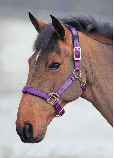 Shires Topaz Leather Breakaway Nylon Halter - Image 7