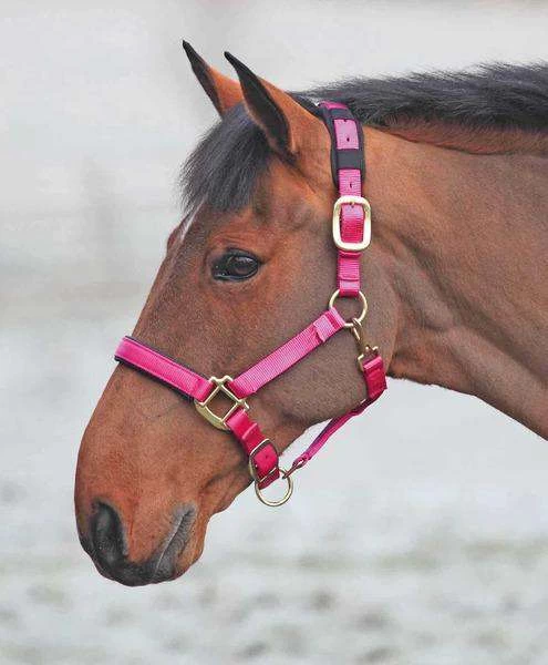 Shires Topaz Leather Breakaway Nylon Halter - Image 8
