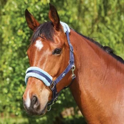 Saxon Element Fleece Headcollar