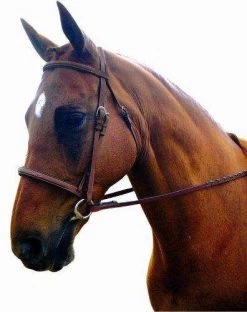 Kincade Raised Padded Fancy Stitched Bridle