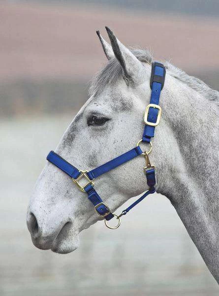 Shires Topaz Leather Breakaway Nylon Halter - Image 4