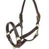 Finn-Tack American Quality Leather Halter