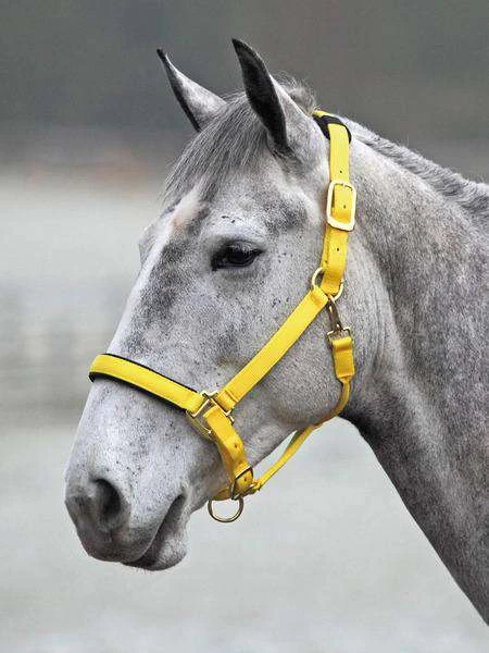 Shires Topaz Leather Breakaway Nylon Halter - Image 10