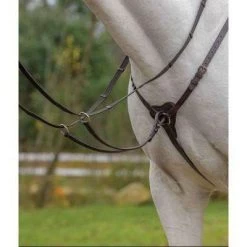 Shires Avignon Three Star Breastplate