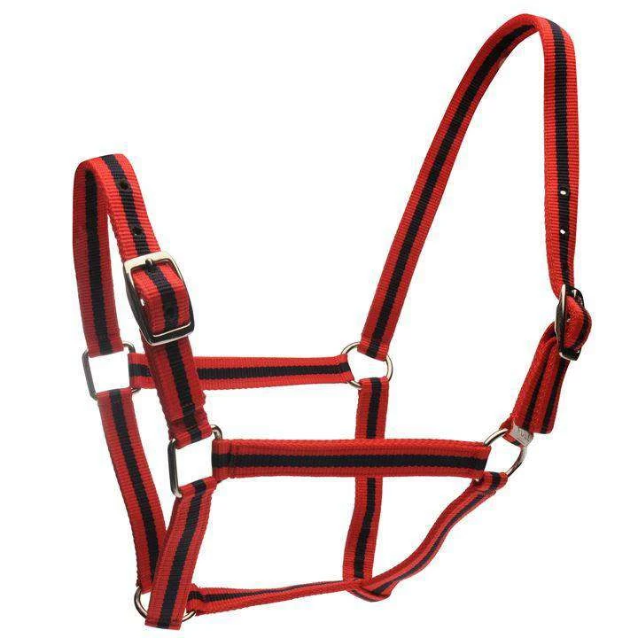 Roma Headcollar & Lead Set - Image 3