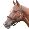 Roma Breakaway Halter II