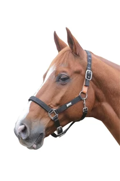 Roma Breakaway Halter II