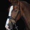 Collegiate Mono Crown Padded Raised Flash Bridle