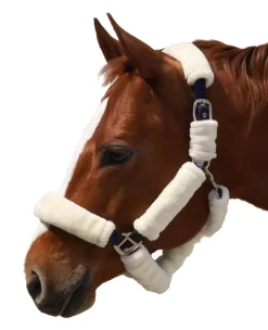 BasEQ Covered Halter