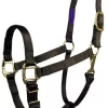 Fabtron Comfort Fit Adjustable 1" Wide Soft Webbing Nylon Halter Heavy-Duty