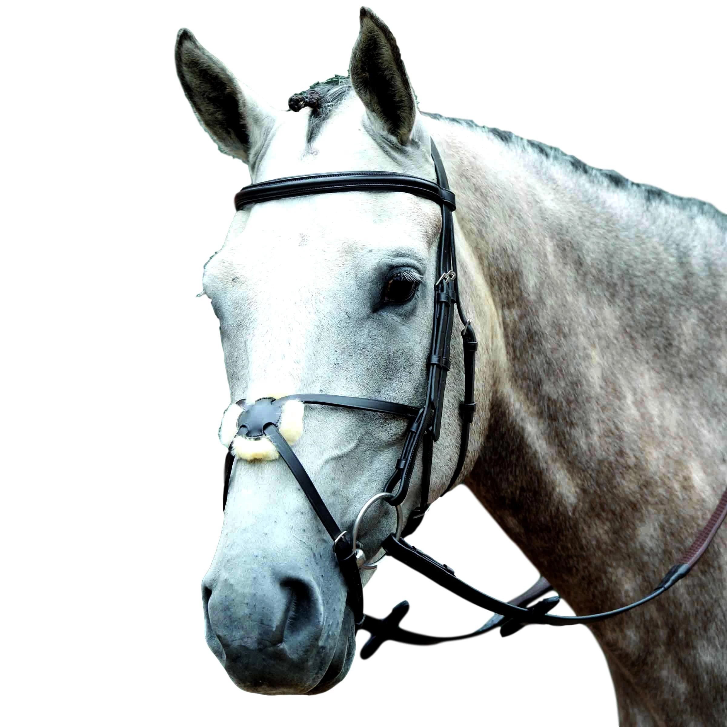 Collegiate Essential Padded Raised Figure 8 Bridle - Image 2