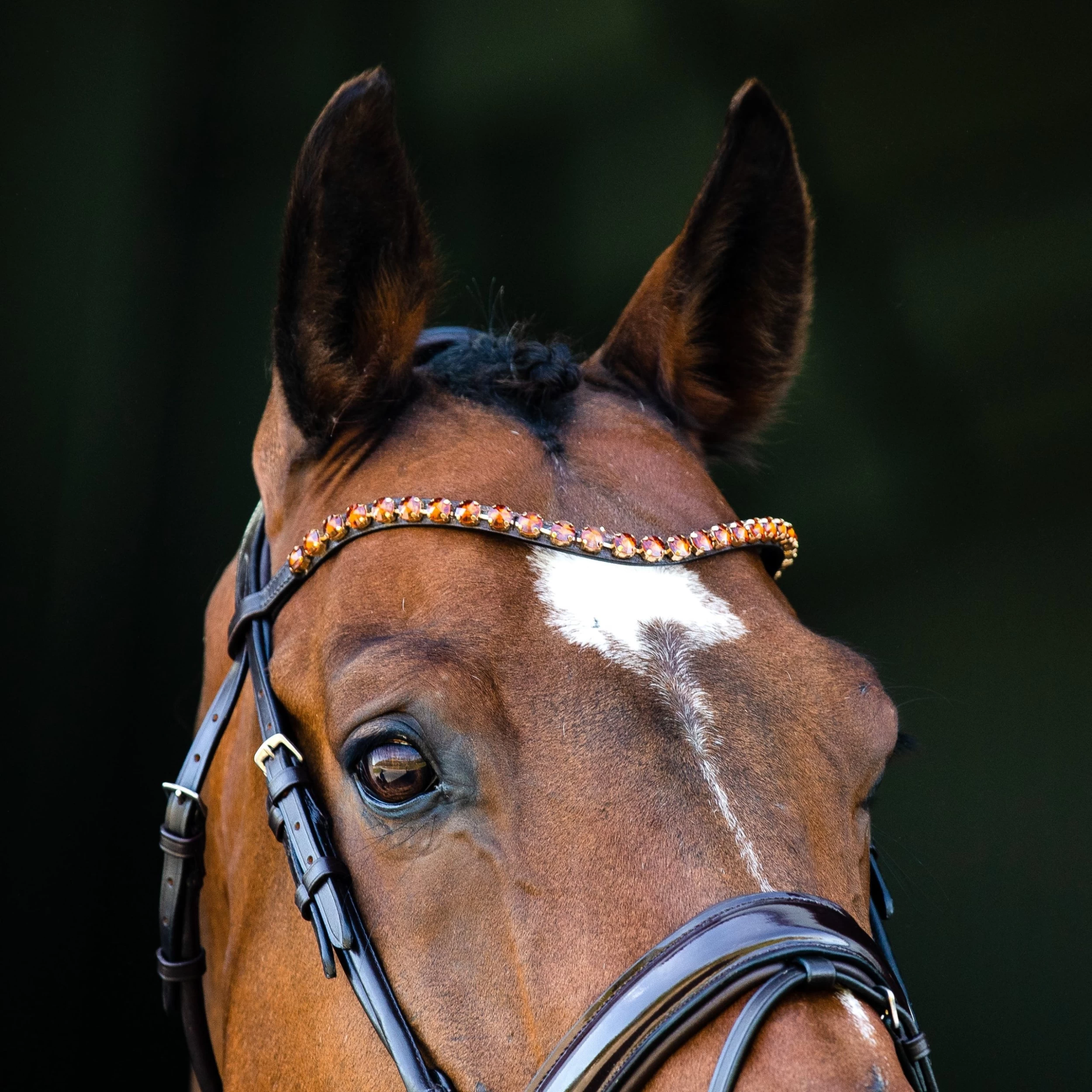 Horze Clermont Ergonomic Crystal Bridle - Image 3