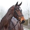 Horze Constance Padded Flash Bridle