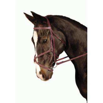 Kincade Padded Figure 8 Bridle